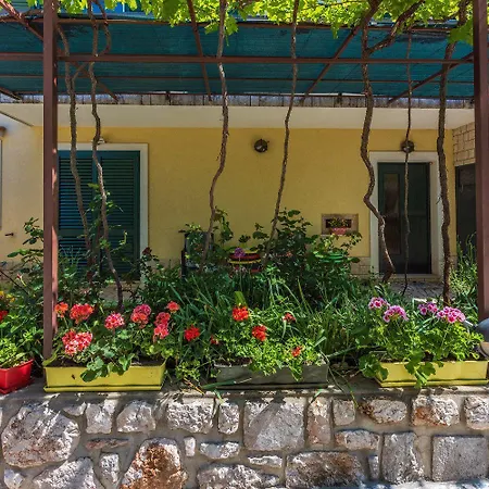 Mediterranes Mit Meerblick, Aussendusche, Liegen, Grill, Waschmaschine - Haustiere Erlaubt Hébergement de vacances Grižane